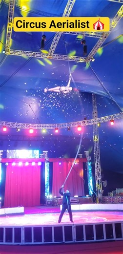 Circus Aerialist Act 🎪 #circus #aerialist #stunt #tricks