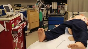 Interview with Sam Parnia