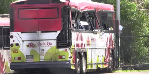 ‘It was like a scene from a disaster movie’: Hawaii County bus crash sends 22 to the hospital