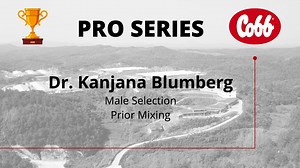 Asia Pro Male Selection Prior Mixing