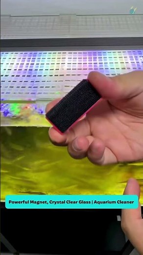 Powerful Magnet, Crystal Clear Glass | Aquarium Cleaner #fishtank #tools