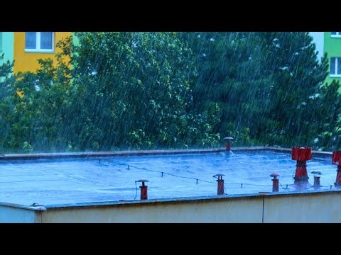 Focus and Calm: The Ultimate Rain Sounds for Studying