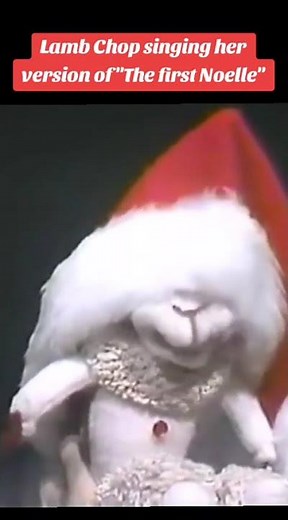 Hello to you too, Lamb Chop! #lambchopandshari #sharilewis #sharilewischristmasconcert