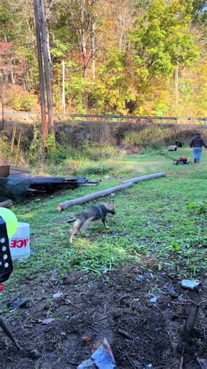 Practicing the long bow!! #greatplainsbows ‪@greatplainsbow‬