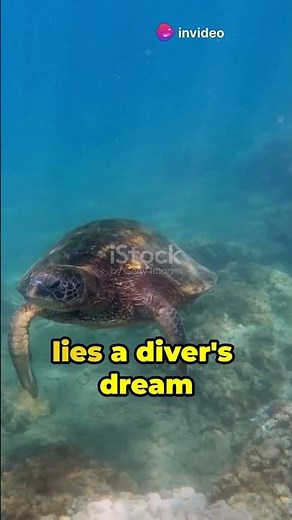 Micronesia: A Journey Through Time