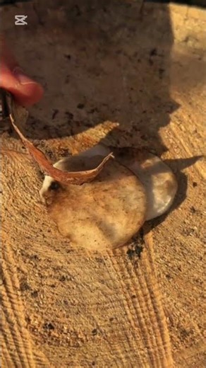 How to make a fire #survival #creativesurvival #bushcraft #adaptablesurvival #outdoorwork #outdoors