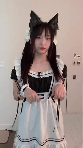 Cat Girl Maid Dress Cosplay - Korean Style Outfit Inspiration