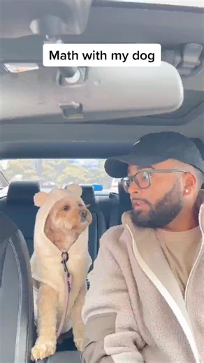 14K views · 441 reactions | She knew she got it right at the end…  #dogs #dogsoftiktok #foryou #smartdog #pets #lunatheminicockapoo | Luna Cockapoo | Facebook