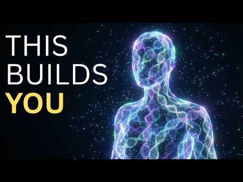 DNA: The Blueprint That Builds Every Human