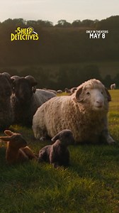 The Sheep Detectives: A Unique Mystery Adventure