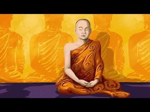 Power vs. Force (The 16 levels of Consciousness)