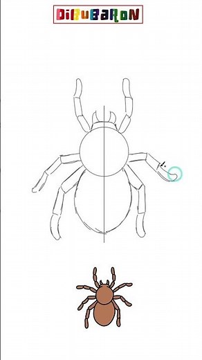 Dibujando a Dibujar una Araña facilmente | Dibujos fáciles