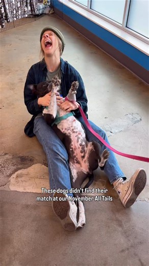 Meet the dogs who didn’t get adopted at our recent All Tails! But we know their person is right around the corner—maybe it’s you or someone you know?! All very cute. All very adoptable. #otatpdx | One Tail at a Time PDX