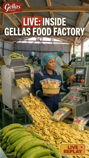 LIVE HIGHLIGHT: INSIDE GELLAS FOOD FACTORY