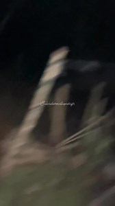 Ayaw mo kumpyansa sa inyong manok Kay daghan kaayo mang@wat karon!! #highlightseveryone #followerseveryone #highlightsシ゚ #fbreels #fypシ゚ #enjoy #LaroNgBatang90s #follower | Salvador N Villapaña Jr.