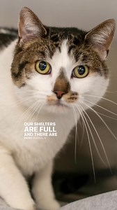 1.3K views · 103 reactions |  Our Coon Rapids and Golden Valley...