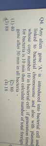 Q4. Any alien gene ' \mathrm{A} ' is introduced into bacterial ... | Filo