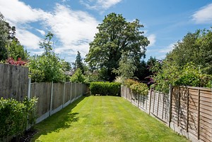 Neighbour’s tree overhanging your garden? Here's who is responsible – and what you can do