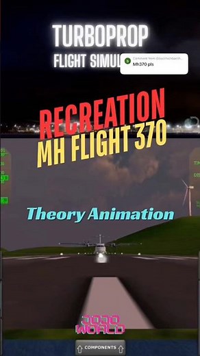 TFS : RECREATION MH FLIGHT 370 - Theory Animation