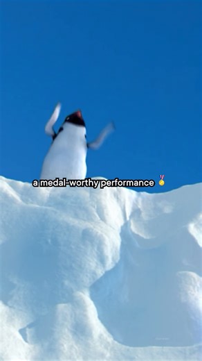 Happy Feet: A Technical and Stylistic Masterpiece