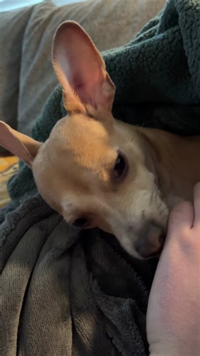 He is a perfect baby angel
