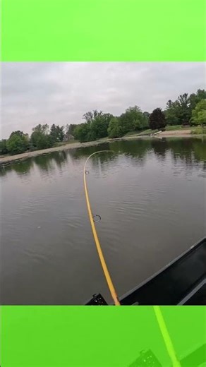 Chunky 3rd Shift Spawner Bluegill #fishing, #bluegill, #longastLCD, #Longcastmicrojig