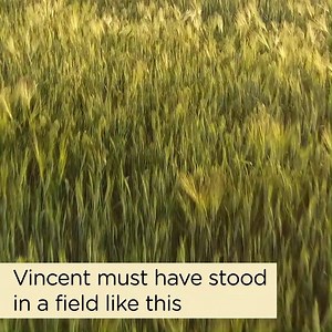 6.8K reactions · 2.1K shares | You can almost hear the wind rustle when you look at this painting. Van Gogh used colour to create this effect. Watch the video to find out how! #VanGoghColours | Van Gogh Museum | Facebook
