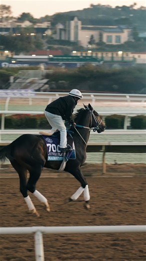 A bold era of horse racing, a new dawn for Morning Line. Introducing Blackout Time, a G1 Breeders' Cup Juvenile contender. 💲Invest. Experience. Own the Game. MorningLine.io #MorningLineIO #OwnTheThrill #OwnTheGame | Morning Line