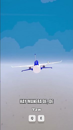 Flight test_ Aerolíneas Argentinas