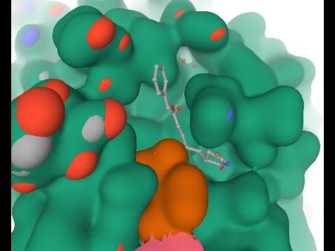 AutoDock Tutorial using covid-19 latest protein structure as target