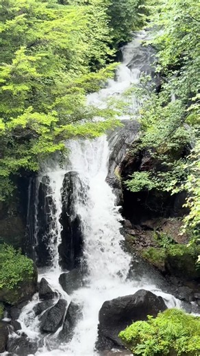 【日光絶景】迫力満点の流れる滝！奥日光の名所『竜頭の滝』でマイナスイオンを浴びる癒やし旅 🌿🌊