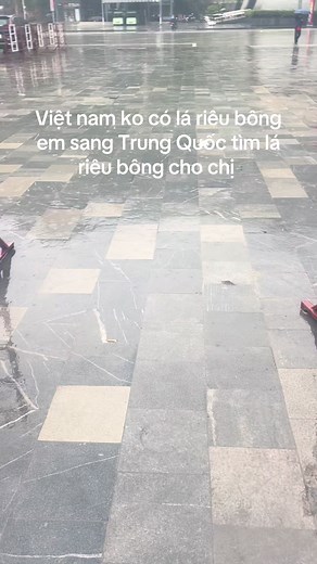 Tìm lá riêu bông mà khó quá