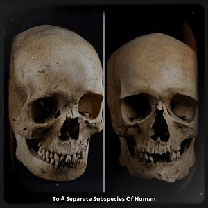 The Paracas Elongated Skulls - An Alien Human Hybrid Race in Ancient Peru | Historistic