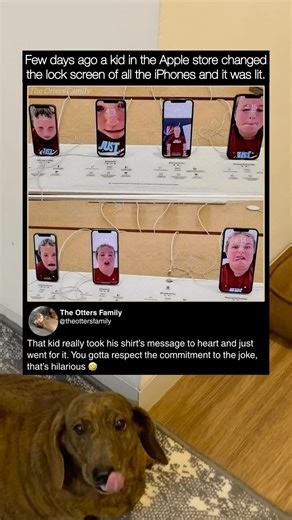 When a kid took over the apple store