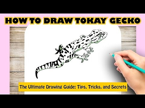 Hpw to draw TOKAY GECKO
