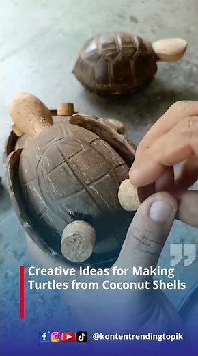 Creative Ideas for Making Turtles from Coconut Shells