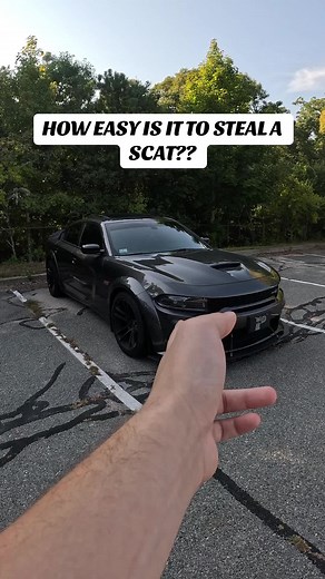 How to Easily Steal a Scat: A Step-by-Step Guide