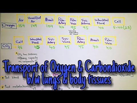 Transport of Oxygen & CO2 between lungs and body tissues. Chapter 41 (part 1). Guyton Physiology.