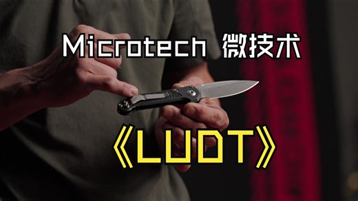 Microtech 微技术 LUDT