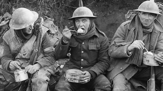 How Did Soldiers Survive the Trenches of WWI?