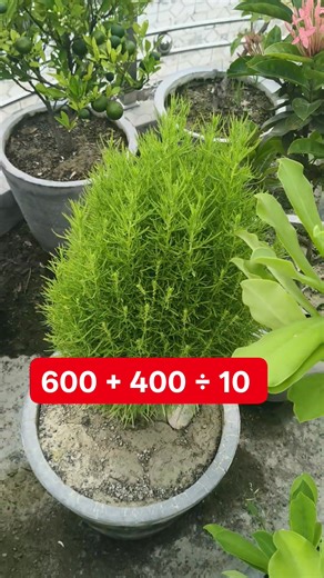 13K views · 150 reactions | Solve it Mat Test | Learn And Solve | Facebook