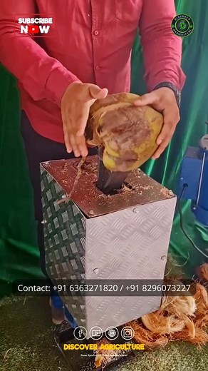 48K views · 44 reactions | Upgrade your coconut dehusking game with...