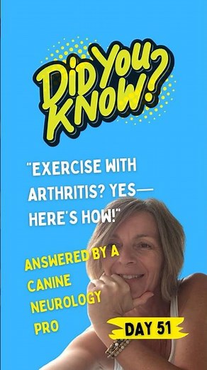 Best Home Exercises for Dogs with Arthritis