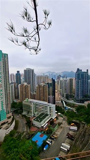 sau kei wan