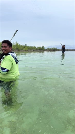 Catching Kotaha in Manihiki: A Traditional Technique