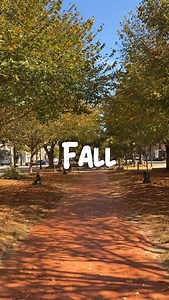 20 reactions | Fall just feels different in Macon. and we’re soaking...