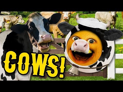 Annoying Orange - An Udderly MOOOVING Cow Supercut!