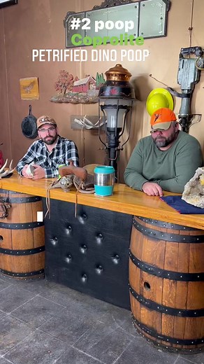 #coprolite is #fossilized feces. Coprolites are classified as trace fossils as opposed to body fossils, as they give evidence for the animal's behaviour rather than morphology. #redneck #pet #petrified #dino #poop | KeokukGeodes