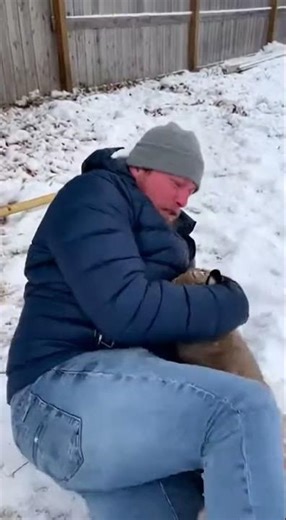 Huge Bobcat Attacks Man After Falling From Tree!