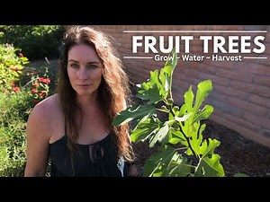 Planting Fruit Trees: Your Complete Guide
